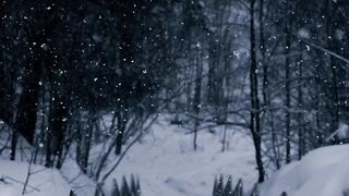 Winter Coat - falling snow on snow covered stairs | Trending HD Video