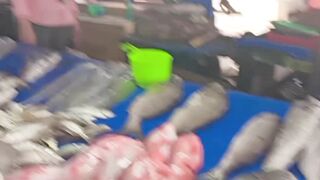 My dad and I are at the fish market, guys, we are looking for fresh fish ????????????