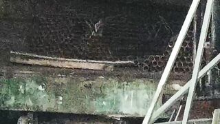 FIBER LASER TUBE QTY 1000