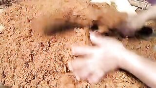 Pembuatan abon ayam part 2