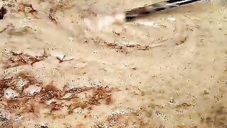 Pembuatan abon ayam part 1