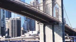 Travelon - a ship passing under brooklyn bridge in new york city | Trending HD Video