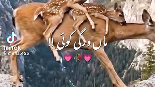 Waky koi nhi ma jaysa