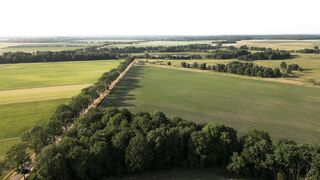 Carrefour - id | Trending HD Video 34