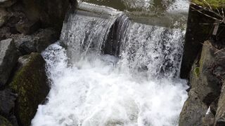 4K Computer Monitor - id | Trending HD Video 88