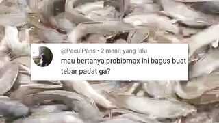 Tebar PADAT yang LOGIS itu seperti ini ❗Bukan DIAWAL saat belajar