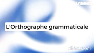 La vison orthographe grammaticale