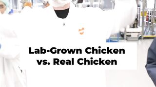Lab-Grown Chicken: The Future of Meat? No Chickens Killed!