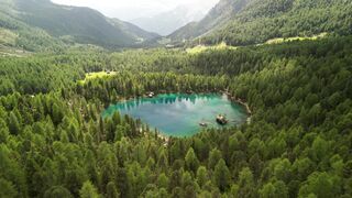 4K resolution - aerial view of alpine lake in summer forest | Trending HD Video
