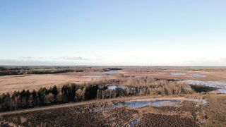 4K Computer Monitor - id | Trending HD Video 89