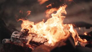 4K Computer Monitor - id | Trending HD Video 90