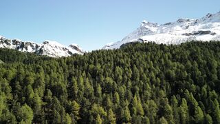 4K Computer Monitor - aerial view of snowy mountain and forest | Trending HD Video