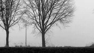 The Wedding People A Novel - id | Trending HD Video 15