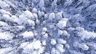 The Shy Snow Woman and the Cursed Ring - id | Trending HD Video 170