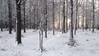 Winter solstice - id | Trending HD Video 73