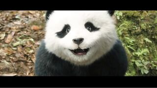 Panda Plan: The Magical Tribe