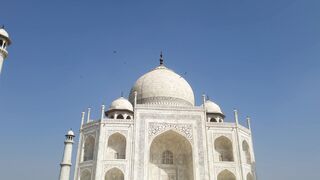 taj mahal video | Professional HD Video