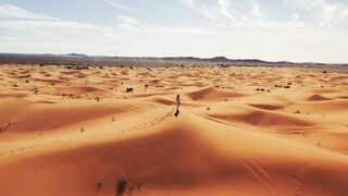 Travelpro - solitary walk in vast desert dunes | Trending HD Video