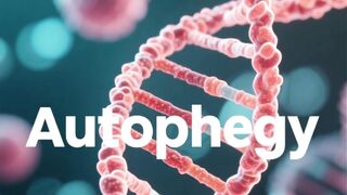 What is Autophagy