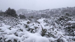 Winter solstice - tranquil winter landscape in patagonia | Trending HD Video
