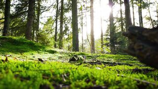 4K Computer Monitor - id | Trending HD Video 93