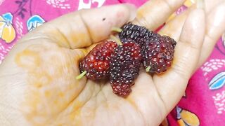 Name the fruit name??