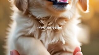 Golden Puppy in Your Hand – Momen Lucu yang Bikin Hati Meleleh ????✨