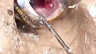 Looking for a fish or eel.. Thanks for watching..!! 69