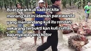 Video orang bekerja