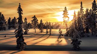 4K resolution - id | Trending HD Video 45