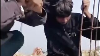 Funny videos ???????????????? 13