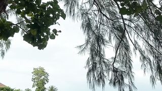 travelite - long shot footage of a house by the lakeshore | Trending HD Video