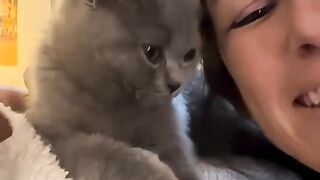 Funniest Cat Moment #funnycat #catlover #cat