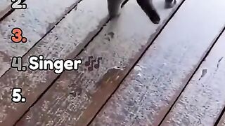 funniest cat lol #lol #funniestcat #funnycat