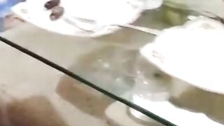 Delicious food items