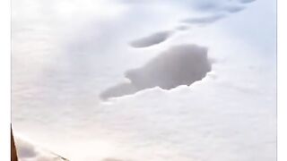 funniest cat cute cat #funnycat #cutecat