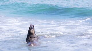 4K Computer Monitor - id | Trending HD Video 99