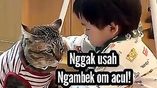 Kumpulan Komedi Kucing 4
