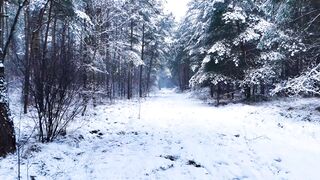 Winter solstice - id | Trending HD Video 75