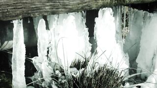 Winter Coat - id | Trending HD Video 87