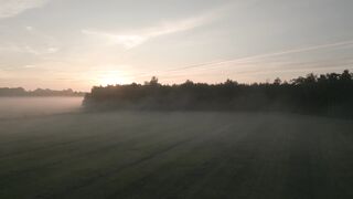 4K Computer Monitor - id | Trending HD Video 103