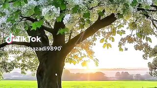 Beautiful 364