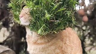 Please, this is heavy