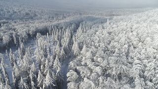 Winter solstice - id | Trending HD Video 77