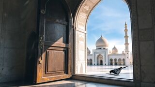 id | Professional HD Video 22