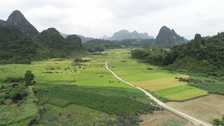 Scarred - id | Trending HD Video 37