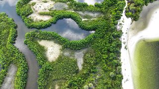 4K resolution - stunning aerial view of lush greenery and waterways | Trending HD Video
