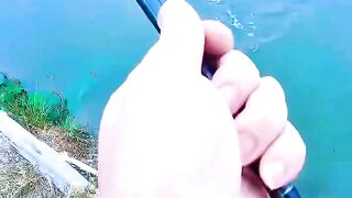 Patience Like a Fisherman | Trust the Right Time