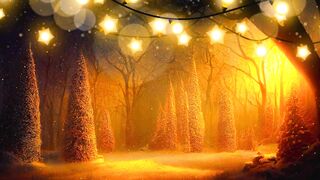 Winter solstice - id | Trending HD Video 78