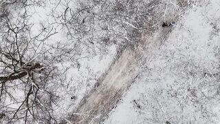 Winter solstice - aerial winter wonderland with snowy trees | Trending HD Video